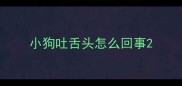 小狗吐舌头怎么回事
