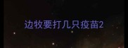 边牧要打几只疫苗
