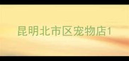 昆明北市区宠物店