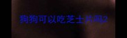 狗狗可以吃芝士片吗