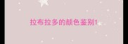 拉布拉多的颜色鉴别