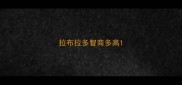拉布拉多智商多高