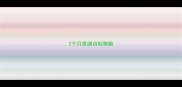 2个月泰迪自制狗粮