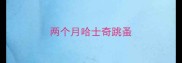两个月哈士奇跳蚤
