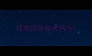 拉布拉多幼犬钙片