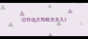边牧幼犬狗粮泡多久