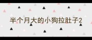 半个月大的小狗拉肚子