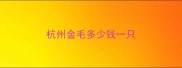 杭州金毛多少钱一只