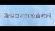 猫驱虫和打疫苗时间