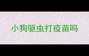 小狗驱虫打疫苗吗