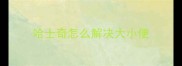 哈士奇怎么解决大小便