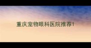 重庆宠物眼科医院推荐