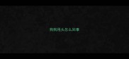 狗狗甩头怎么回事