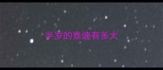 半岁的泰迪有多大
