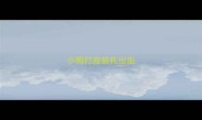 小狗打疫苗扎出血
