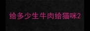 给多少生牛肉给猫咪
