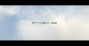四个月比熊吃什么狗粮