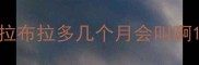 拉布拉多几个月会叫啊