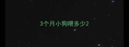 3个月小狗喂多少