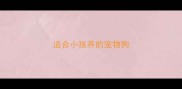 适合小孩养的宠物狗