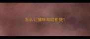 怎么让猫咪和睦相处