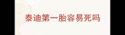 泰迪第一胎容易死吗