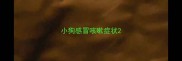 小狗感冒咳嗽症状