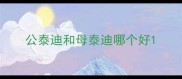 公泰迪和母泰迪哪个好