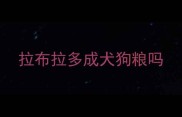 拉布拉多成犬狗粮吗