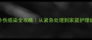 拉布拉多外伤感染全攻略从紧急处理到家庭护理的完整指南