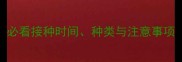 幼犬疫苗三针全必看接种时间种类与注意事项附免疫流程图