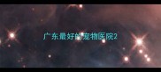 广东最好的宠物医院