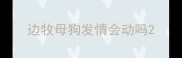 边牧母狗发情会动吗