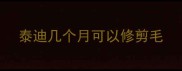 泰迪几个月可以修剪毛