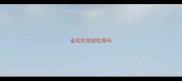 金毛吃完就拉屎吗
