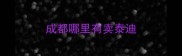 成都哪里有卖泰迪