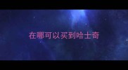 在哪可以买到哈士奇