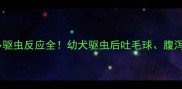 拉布拉多驱虫反应全幼犬驱虫后吐毛球腹泻怎么办