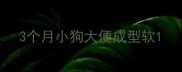3个月小狗大便成型软