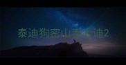 泰迪狗密山卖太迪