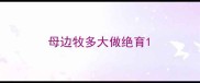 母边牧多大做绝育