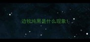 边牧纯黑是什么现象
