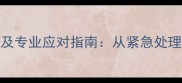 狗狗牙齿打颤的8大原因及专业应对指南从紧急处理到日常预防的完整方案