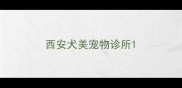 西安犬美宠物诊所