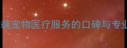 松岗诺德宠物医院深圳高端宠物医疗服务的口碑与专业推荐附最新服务指南
