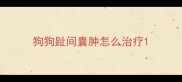 狗狗趾间囊肿怎么治疗