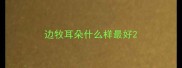 边牧耳朵什么样最好