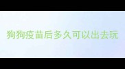 狗狗疫苗后多久可以出去玩