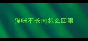 猫咪不长肉怎么回事
