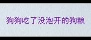 狗狗吃了没泡开的狗粮